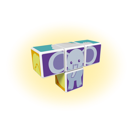 Set magnetic Magicube Animale 2