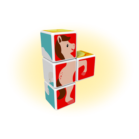 Set magnetic Magicube Animale 3