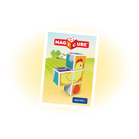 Set magnetic Magicube Animale 4
