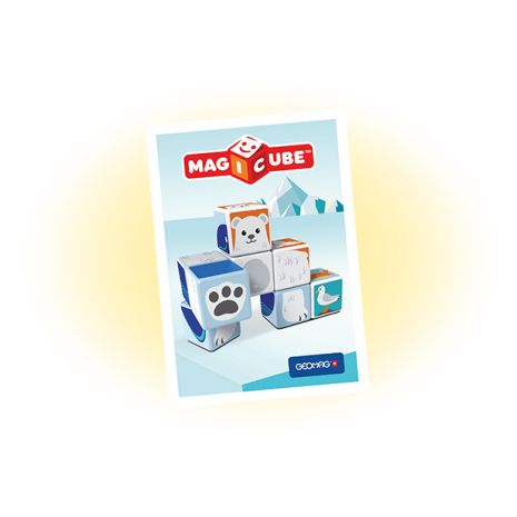 Set magnetic Magicube Animale Polare 4