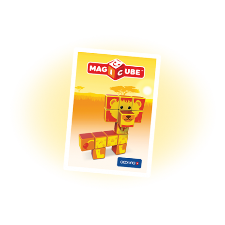 Set magnetic Magicube Safari Park 4