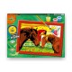 FRABOX Set painting by numbers Cai 1