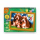 FRABOX Set painting by numbers Catei 1